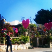 A gardening store that we passed along the CA-1. Decorated for Valentine's Day!